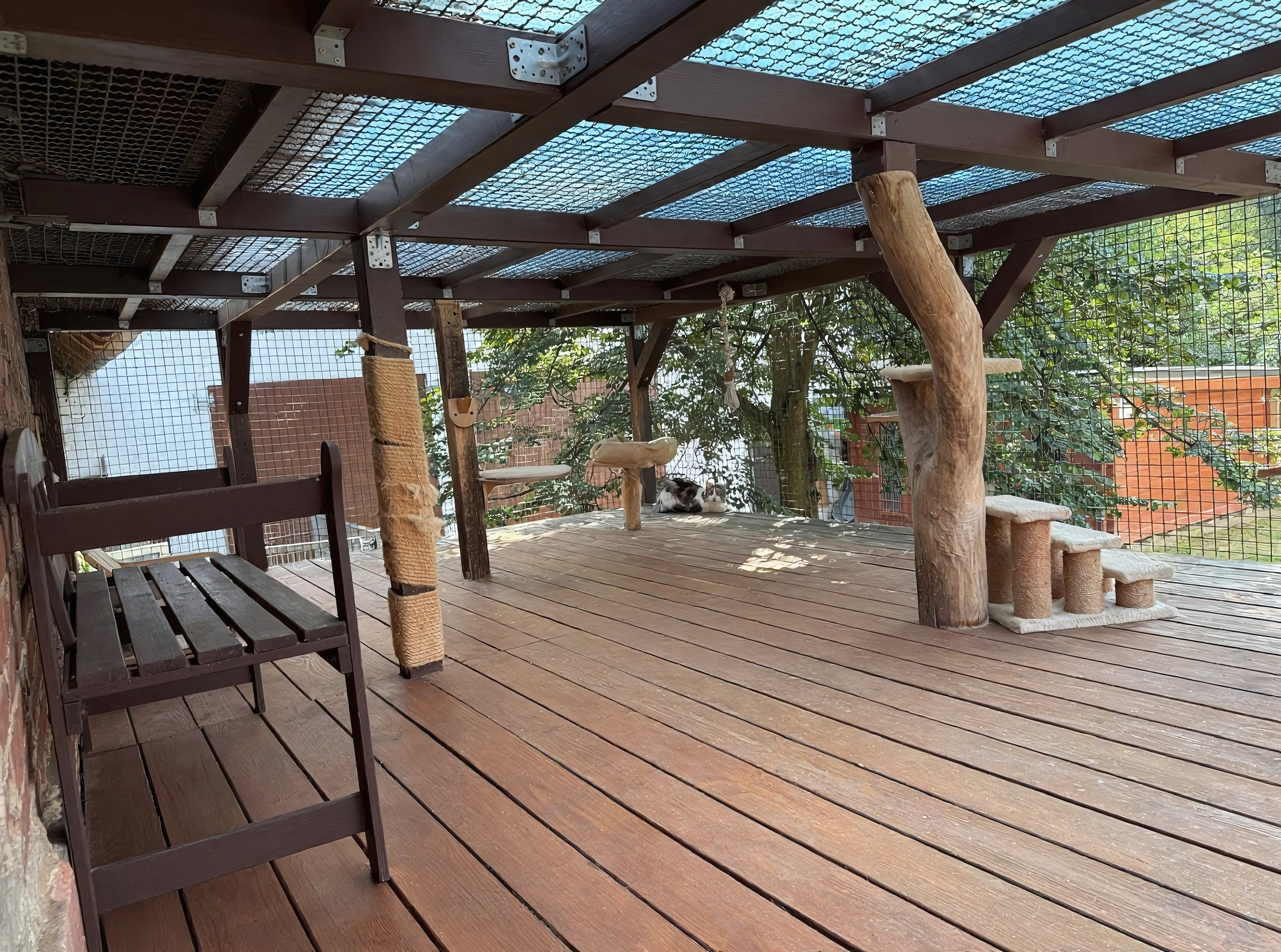 Katzen im gesicherten Außenbereich